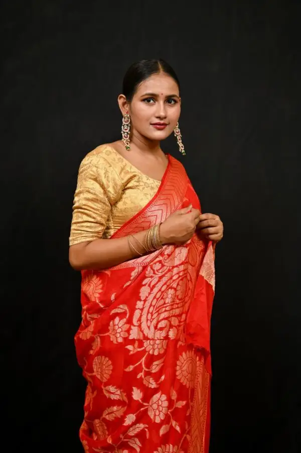 Pure Chiffon Banarasi Saree - Image 3