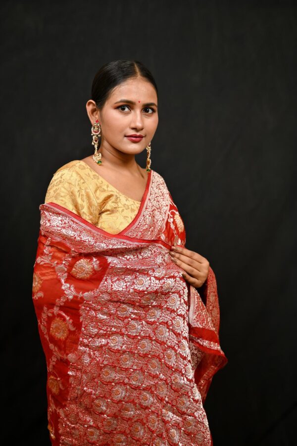 Rust Jal work Georgette Banarasi Saree - Image 4