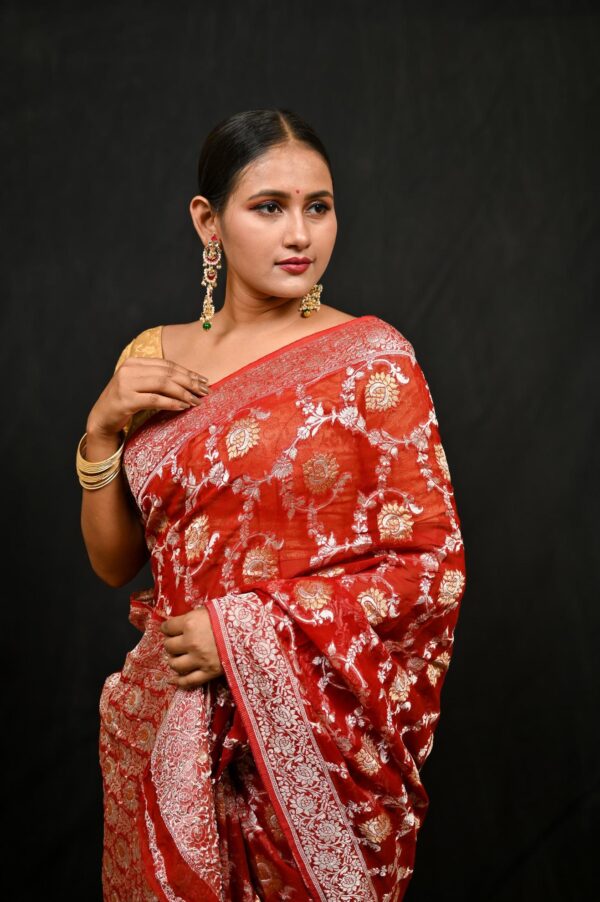 Rust Jal work Georgette Banarasi Saree - Image 3